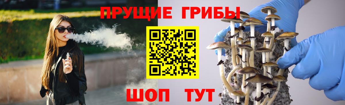 Псилоцибиновые грибы Cubensis Ивантеевка
